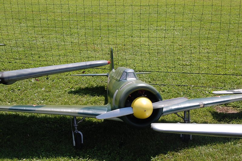 img00020.jpg