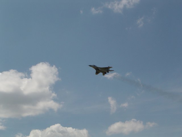 DSC00029.jpg